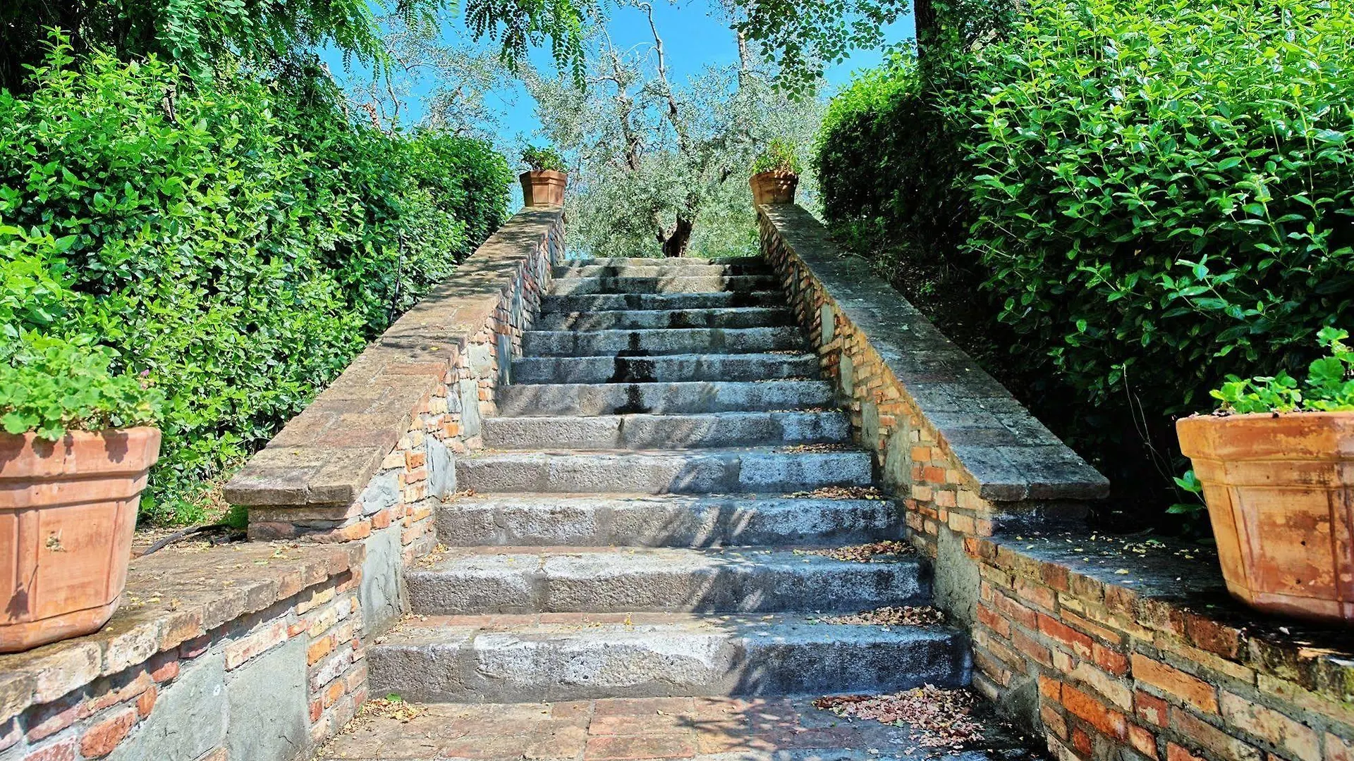 Borgo Del Castellaccio Affittacamere Fauglia 0*,  Italia