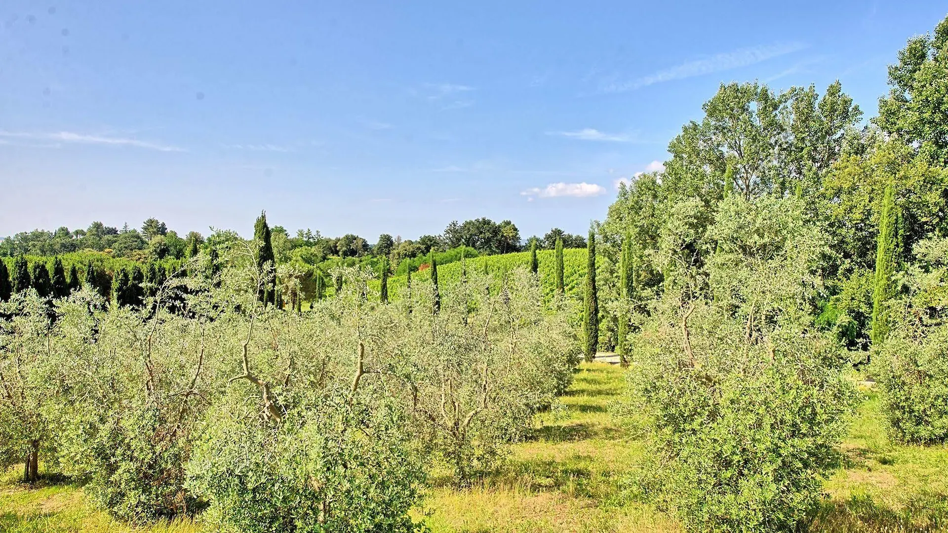 Casa di campagna Borgo Del Castellaccio Affittacamere Fauglia Italia